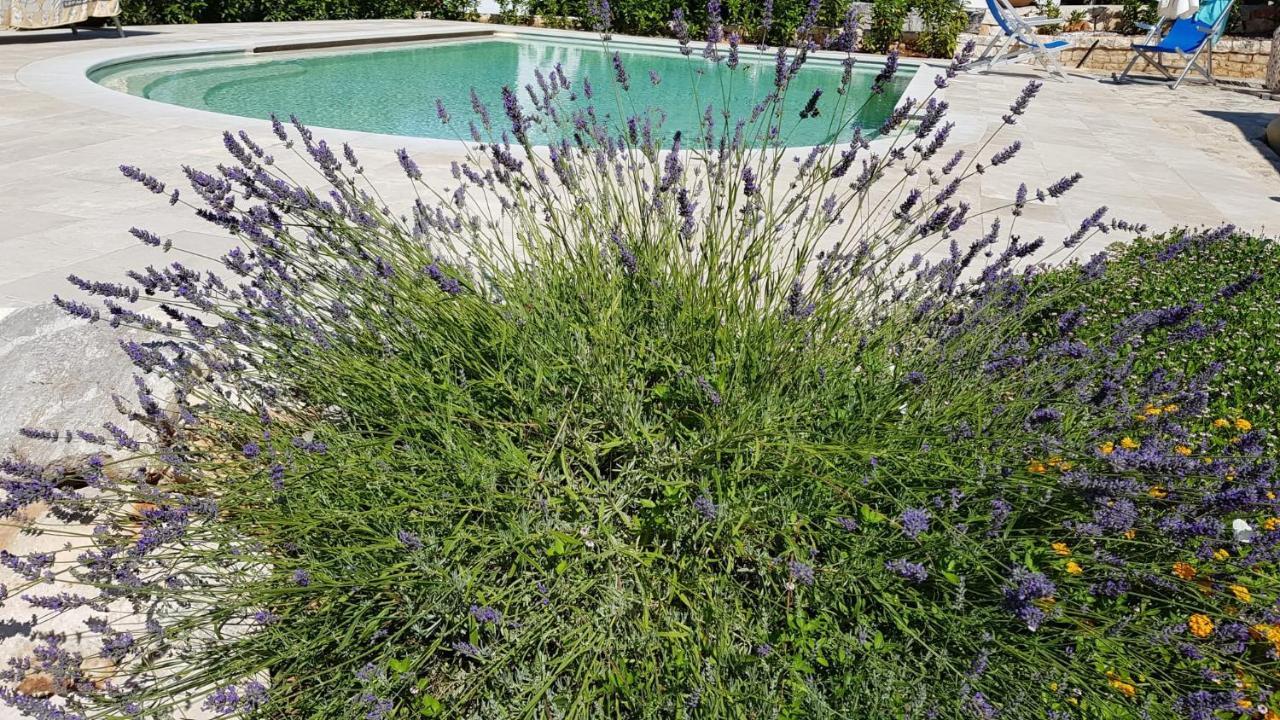 Trulli Giaci&Mauri Aparthotel Selva Di Fasano Kültér fotó